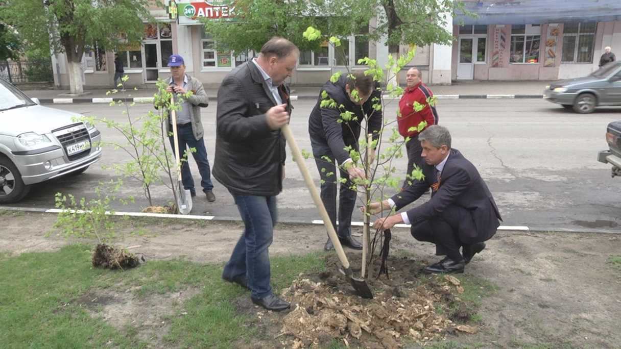 В Клинцах представители «Единой России» посадили деревья