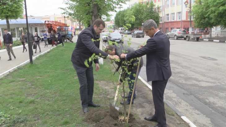 В Клинцах представители «Единой России» посадили деревья
