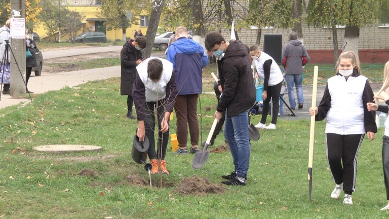Клинцовские молодогвардейцы украшают город