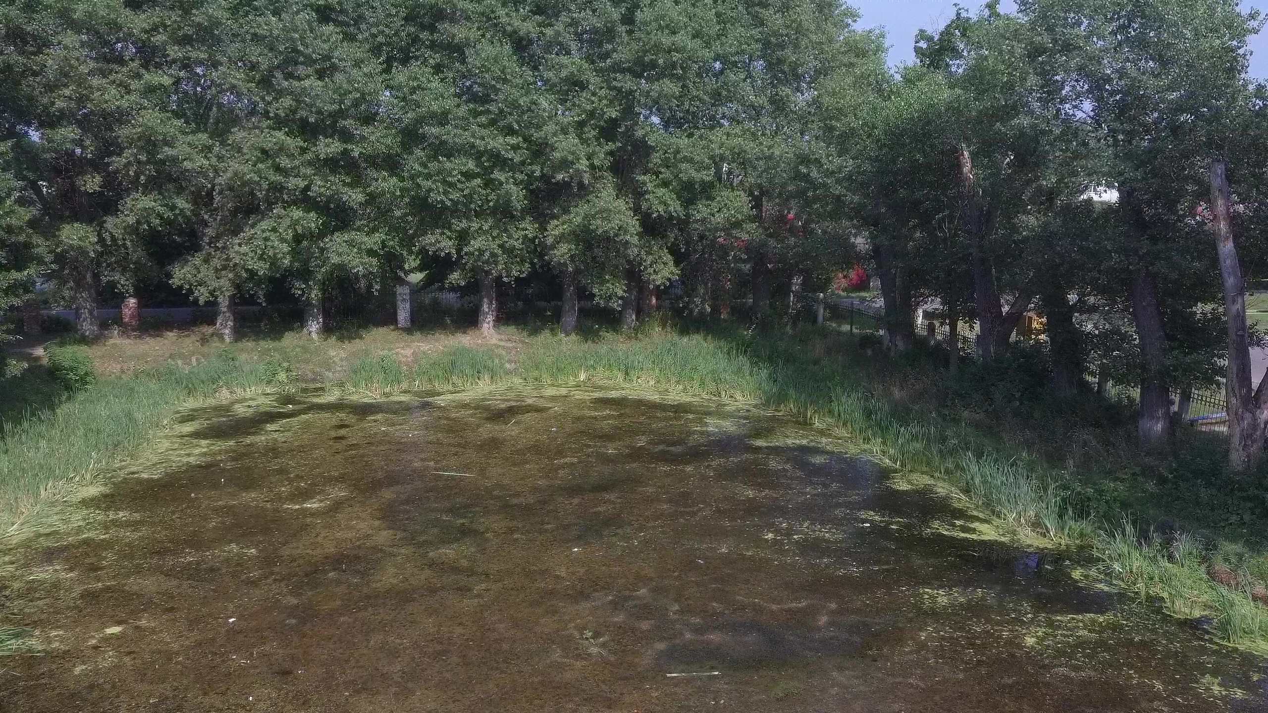 Судьба водоёма в парке Воровского определена